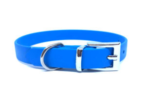 biothane-collar-blue-300x200