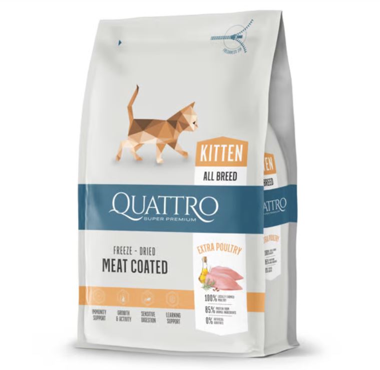 Quattro-Kitten